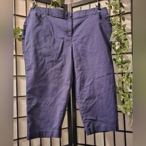 Briggs Navy Blue Cropped Pants Size 18W